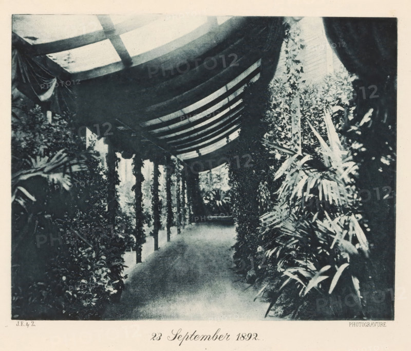 View of a plant-decorated corridor at the Royal Joh. Enschedé printing house, in honor of the visit of Queen Wilhelmina and Queen Regent Emma, September 23, 1892, page, photomechanical print, Haarlem, maker: JE & Z., c. 1892-09-23, photographer, paper, photoaquatint, height 163 mm x width 205 mm, plants (in general), corridor, A shaded walkway runs between dense foliage with leafy plants and hanging vines on either side, framed above by a curved overhead structure of beams and fabric drapery that casts alternating bands of light and shadow along the path, with a distant brighter opening visible at the far end.