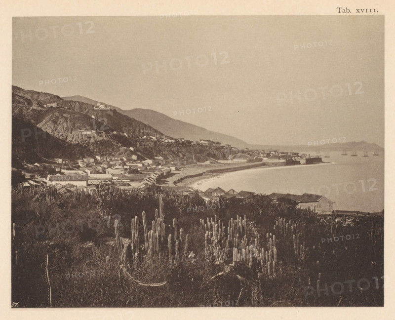 View of La Guaira in Venezuela, page, photomechanical print, number: 'Tab. XVIII.', photographer: Jacobus Rudolphus Neervoort van de Poll (possibly), Venezuela, cliché maker: anonymous, c. 1877 - in or before 1887, paper, collotype, photoprint, height 138 mm x width 176 mm, Print in section at the back., city-view, and landscape with man-made constructions, gulf, bay, plants and herbs: cactus, La Guaira, A coastal landscape viewed from a hillside with tall columnar cacti in the foreground, a cluster of low-roofed buildings and houses stretching along the slope and shoreline, a curved sandy beach bordered by a breakwater and coastal structures, rising rocky hills with additional buildings perched on them, a calm sea with small boats visible near the horizon, and distant hazy mountains under a large pale sky.