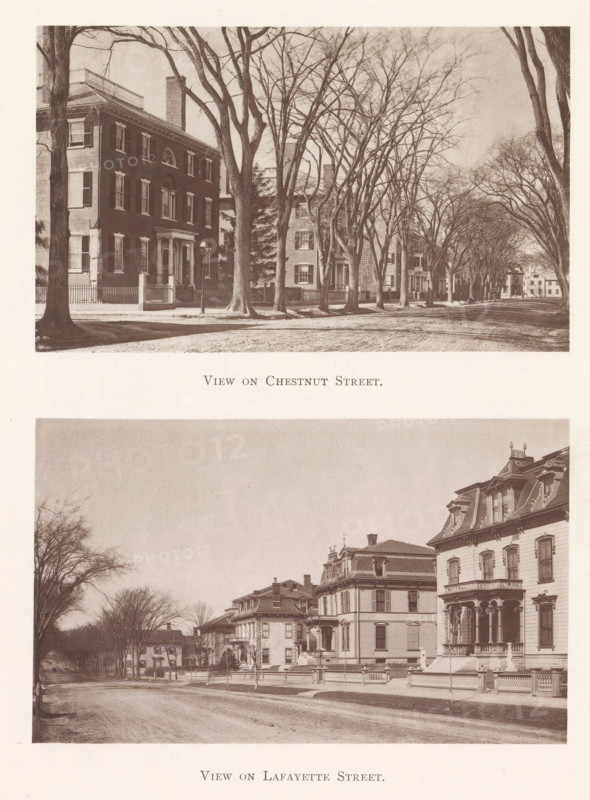 View of Chestnut Street and Lafayette Street in Salem, View on Chestnut Street. View on Lafayette Street, page, photomechanical print, Salem (Massachusetts), maker: Heliotype Printing Company, Boston (Massachusetts), 1879-04, photographer, North America, Massachusetts, paper, photoaquatint, height 241 mm x width 165 mm, Prints opposite page 264., street, housing, A sepia-toned image showing two wide street scenes stacked vertically, each framed with rows of leafless trees lining dirt roads and bordered by large, multi-story houses with porches, bay windows, and decorative rooflines; the upper scene features a prominent brick house at the left with shuttered windows and a columned entrance, tall bare trees in front casting shadows, and a long avenue of similarly styled houses receding into the distance; the lower scene shows a broad street edged by ornate Victorian houses with mansard roofs, balustraded porches, stone fences, and lamp posts, with leafless trees along the sidewalks and a...