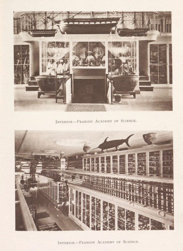 Interior-Peabody Academy of Science, Interior of two halls of the Peabody Academy of Science in Salem, page, photomechanical print, Salem (Massachusetts), maker: Heliotype Printing Company, Boston (Massachusetts), 1879-04, photographer, North America, Massachusetts, paper, photoaquatint, height 241 mm x width 165 mm, Prints opposite page 116., permanent exhibition, museum, Peabody Academy of Science, A vertically split sepia image showing two interior scenes stacked one above the other. The upper scene features a display area with a central counter flanked by large ornate basins on stands and glass cabinets containing figures and objects, mannequins or statues visible behind the counter, and model ships suspended near the ceiling. The lower scene shows a long gallery with tall glass-fronted cabinets lining both sides, a balcony railing along the upper level, a suspended mounted fish above the cabinets, and rows of displayed specimens visible through the cabinet doors.