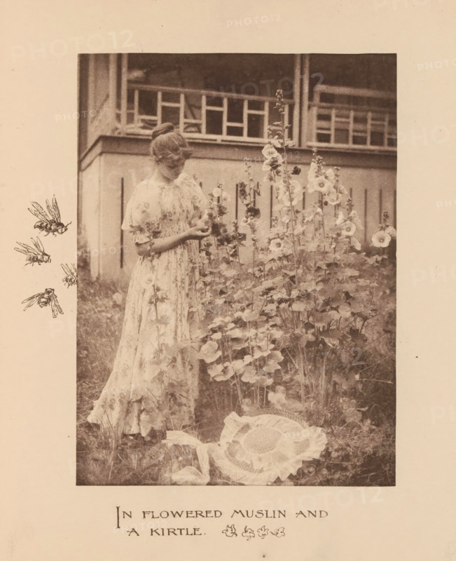 Woman in a garden with poppies, page, photomechanical print, inscription: 'In Flowered Muslin and a Kirtle', photographer: Mary Bartlett, United States of America, cliché maker: anonymous, c. 1884 - in or before 1894, North America, paper, photoaquatint, height 165 mm x width 122 mm, adolescent, young woman, maiden, flowers: poppy, A sepia-toned photograph shows a young woman standing in a garden beside tall flowering stalks with round blossoms, wearing a light-colored, patterned dress with puffed sleeves and a gathered bodice, her hair styled up and her gaze directed downward toward her hands which are holding a flower; behind her is a railing and part of a building with vertical panels, and to the left of the photograph there are three small illustrated bees arranged vertically, while in the foreground lower right a large fabric flower with layered petals lies on the grass.