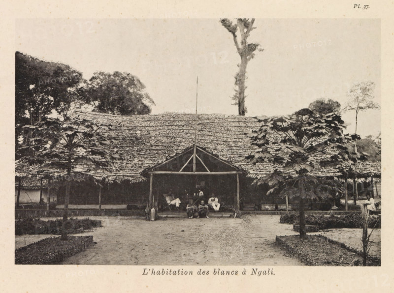 L'habitation des blancs à Ngali, Exterior of a house in Ngali, page, photomechanical print, number: 'Pl. 37.', photographer: Franz Thonner, Ngali, cliché maker: Stengel & Markert, Dresden, 1896, Franz Thonner, Stengel & Markert, photographer, cliché maker, Saxony, paper, collotype, photoprint, height 110 mm x width 162 mm, housing, façade (of house or building), A wide thatched structure with a triangular front gable and a central pole stands behind a cleared yard, flanked by tall leafy trees with broad leaves and smaller vegetation; the thatch shows layered texture and a tall slender tree rises behind it; in front of the building an open porch area contains several seated people and a few objects, and low woven fences form raised planting beds at the yard edges, with a dirt ground extending toward the foreground.