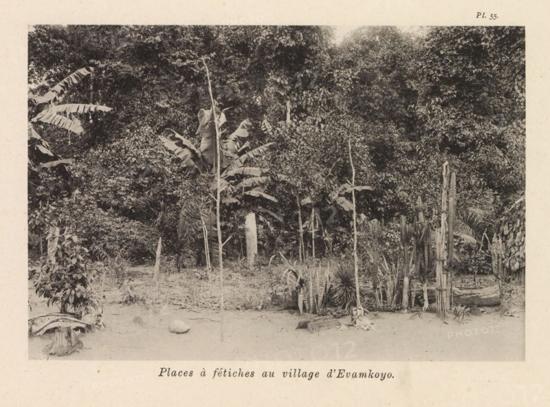 Square in Evamkoyo, Places à fétiches au village d'Evamkoyo, page, photomechanical print, number: 'Pl. 55.', photographer: Franz Thonner, Congo (country), cliché maker: Stengel & Markert, Dresden, 1896, Franz Thonner, Stengel & Markert, photographer, cliché maker, Saxony, paper, collotype, photoprint, height 110 mm x width 161 mm, village square, A monochrome photograph of a dense, vegetated scene showing a foreground of bare earth with scattered small plants and a few upright wooden posts, a central area with tall, slender stalks and broad-leaved plants including large leaves that resemble banana leaves, and a background filled with thick foliage and overlapping tree canopies, with a few rough wooden structures and grouped vertical plant stalks visible near the right side.