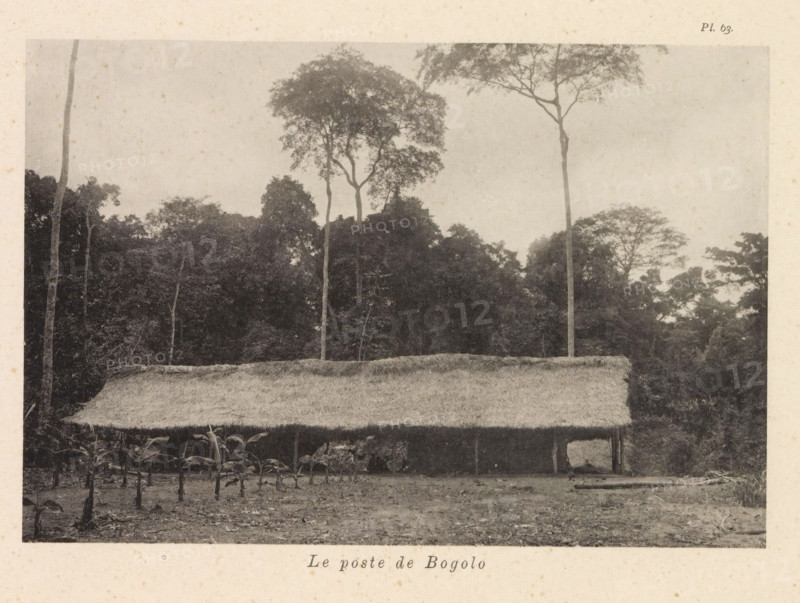 Exterior of the post office in Bogolo, Le poste de Bogolo, page, photomechanical print, number: 'Pl. 63.', photographer: Franz Thonner, Congo (country), cliché maker: Stengel & Markert, Dresden, 1896, Saxony, paper, collotype, light printing, height 109 mm x width 160 mm, facade (of house or building), post-office, A wide thatched roof structure spans the middle of the image with a rough textured surface and plant growth along its edge, supported by vertical posts that create shaded open spaces beneath; in front of the structure a cleared foreground shows small planted shoots with large leaves emerging from the soil and scattered fallen leaves; behind and above the roof a dense backdrop of tall trees with slender trunks and leafy crowns rises against a pale sky, with some taller trees extending higher and thinner than others and a variety of foliage densities forming a layered treeline.