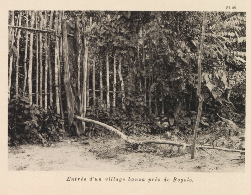 Fence around a Banza village near Bogolo, Entrée d'un village banza près de Bogolo, page, photomechanical print, number: 'Pl. 66.', photographer: Franz Thonner, Congo (country), cliché maker: Stengel & Markert, Dresden, 1896, Franz Thonner, Stengel & Markert, photographer, cliché maker, Saxony, paper, collotype, photoprint, height 110 mm x width 161 mm, fence, wall, eel, A black-and-white photograph showing a dense arrangement of vertical wooden poles forming a simple fence set against thick foliage, with vines and large leafy plants growing around and between the poles, a few horizontal wooden rails and a curved fallen branch crossing the sandy ground in front, and a narrow upright slender trunk positioned near the right foreground.