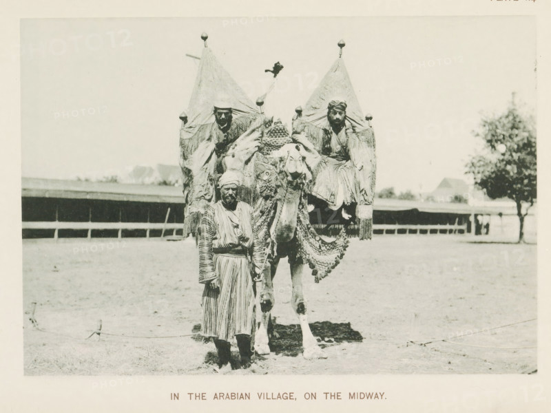 In the Arabian village, on the Midway, Three men with a camel at the World's Columbian Exposition in Chicago in 1893, page, photomechanical print, number: 'Plate 114', photographer: Charles Dudley Arnold, Chicago, photographer: HD Higinbotham, cliché maker: anonymous, 1893, Charles Dudley Arnold, HD Higinbotham, photographer, cliché maker, North America, Illinois, paper, collotype, photoprint, height 133 mm x width 190 mm, hoofed animals: camel, world fair, world exhibition, World's Columbian Exposition, A sepia-toned photograph showing a man standing in front of a camel that is heavily decorated with ornate fabrics and fringe, the camel carrying two seated men under pointed canopy-like coverings, the standing man wearing a striped robe and headwrap and holding a rope attached to the camel, a low fence and open ground behind them and a tree visible off to the right.