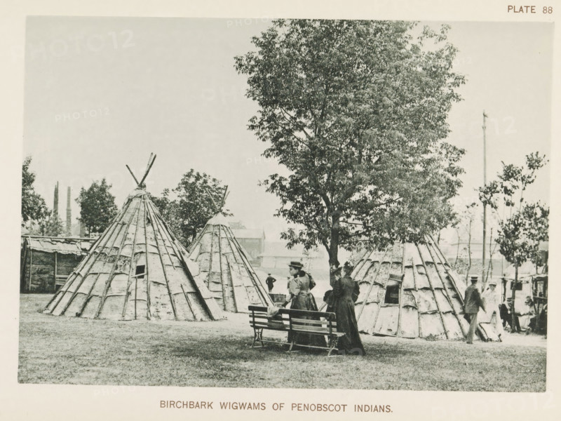 Teepees of the Panawahpskek (Penobscot) at the World's Columbian Exposition in Chicago in 1893, Birchbark wigwams of Penobscot Indians, Wigwams of the Penobscot at the World's Columbian Exposition in Chicago in 1893 (former title), page, photomechanical print, Tipis of the Panawahpskek (Penobscot) at the World's Columbian Exposition in Chicago in 1893. The wigwams are covered with birch bark., number: 'Plate 88', photographer: Charles Dudley Arnold, Chicago, photographer: HD Higinbotham, cliché maker: anonymous, 1893, Charles Dudley Arnold, HD Higinbotham, photographer, cliché maker, North America, Illinois, paper, collotype, photoprint, height 133 mm x width 191 mm, indigenous peoples of North America, world fair, world exhibition, wigwam, World's Columbian Exposition, original inhabitants of South America, A grassy open area with several conical wooden structures made of overlapping outer panels, each topped with crossed poles, a large leafy tree rising behind them, groups of people ...