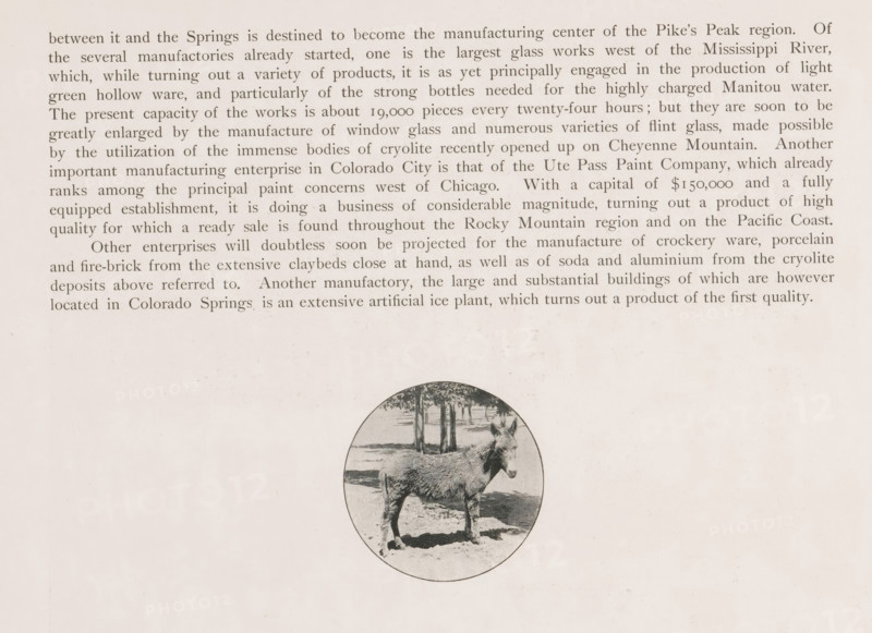Easel, page, photomechanical print, Colorado, cliché maker: New York Photo-Gravure Company, New York (city), c. 1888 - in or before 1893, photographer, North America, paper, autotypie, height 52 mm x width 52 mm, ass, donkey, Pueblo, Colorado City, A sheet of off-white paper with a block of printed paragraphs across the top and a circular black-and-white illustration below showing a donkey standing on a sunlit ground with trees and shaded areas in the background.