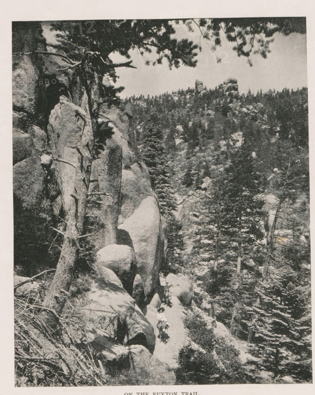 On the Ruxton trail, Landscape near Pikes Peak with people on donkeys, page, photomechanical print, Colorado, cliché maker: New York Photo-Gravure Company, New York (city), c. 1888 - in or before 1893, photographer, North America, paper, autotypie, height 196 mm x width 160 mm, landscapes, ass, donkey, mule, El Paso (Colorado), Pikes Peak (El Paso), A vertical black and white photograph of a rocky forested landscape showing large vertical rock formations and boulders among tall pine trees, with branches and tree trunks visible in the foreground and along the cliff edges, a narrow rocky path winding through the rocks where a small group of people and a pack animal can be seen traversing, and distant tree-covered hills and scattered rock outcrops filling the background under a pale sky.