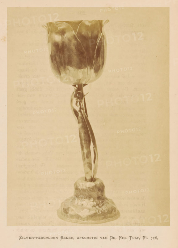 Silver-gilded cup, from Dr. Nic. Tulp, Silver-gilded cup from Nicolaes Tulp, photograph, page, number: 'No. 536.', photographer: Pieter Oosterhuis, Amsterdam, 1876, paper, albumen print, height 166 mm x width 124 mm, drinking-vessel in unusual shape, Historical Exhibition Amsterdam, Oudemannenhuis (Amsterdam), Period, A single tall tulip-shaped goblet with a smooth rounded bowl and scalloped rim sits atop a slender twisted stem that rises from a textured bulbous base; the object is rendered in a monochrome sepia tone and fills most of the central vertical space against a plain lighter background.
