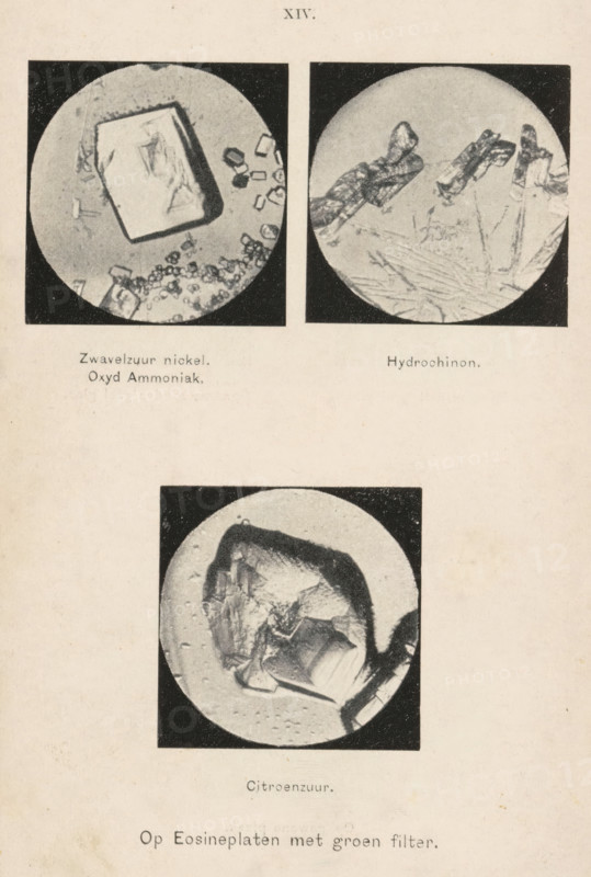 Three enlargements of chemicals, XIV., page, photomechanical print, inscription: 'On Eosin plates with green filter.', inscription: 'Sulfuric acid nickel., Oxyd Ammonia.', inscription: 'Hydroquinone.', inscription: 'Citric acid.', c. 1897 - in or before 1902, paper, autotype, height 108 mm x width 85 mm, Print fourteen of fourteen prints after page 241., chemical substances, A vertical sheet shows three circular photographic images arranged with two at the top side-by-side and one larger centered below, each circle framed by a dark square background and containing textured crystalline or mineral shapes with irregular edges and reflective facets; the top left circle features a large rectangular crystal tilted inside the frame with smaller granular fragments nearby, the top right circle displays elongated, twisted crystal forms emerging from a smoother ground, and the lower circle contains a bulbous, layered crystal mass with folded surfaces and scattered tiny particles around its edge, ...