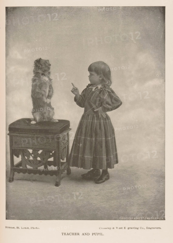 teacher and pupil, Portrait of an unknown girl teaching the dog a trick, page, photomechanical print, inscription: 'Crosscup & West Eng CO. Phila', photographer: Strauss, cliché maker: Crosscup & West Engraving Co., Philadelphia, 1887 - 1907, North America, paper, autotype, height 153 mm x width 115 mm, training of dogs, girl (child between toddler and youth), A sepia-toned image of a young girl standing beside a small ornate wooden table with a cushioned top, the girl pointing a finger toward a long-haired dog that is standing on its hind legs on the cushion; the girl wears a dress with a high collar and a full skirt, her hair cut straight with bangs, and she has one hand on her hip while looking at the dog; the table has carved decorative panels and short legs; the dog faces the girl with its front paws slightly raised; the background is plain and softly shaded.