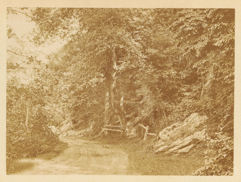 View of a country road in a forest, photograph, page, photographer: JC Browne, photographer: Hugh Davids, c. 1861 - in or before 1866, paper, albumen print, height 116 mm x width 157 mm, behind semi-transparent cover., forest, wood, road, path, A narrow dirt path runs through a wooded area with dense trees and leafy foliage on both sides, a simple wooden fence with horizontal rails is visible near the base of a tree beside the path, a large rock formation and scattered stones sit along the right edge, low grass and undergrowth border the path, and branches and leaves form a canopy overhead.