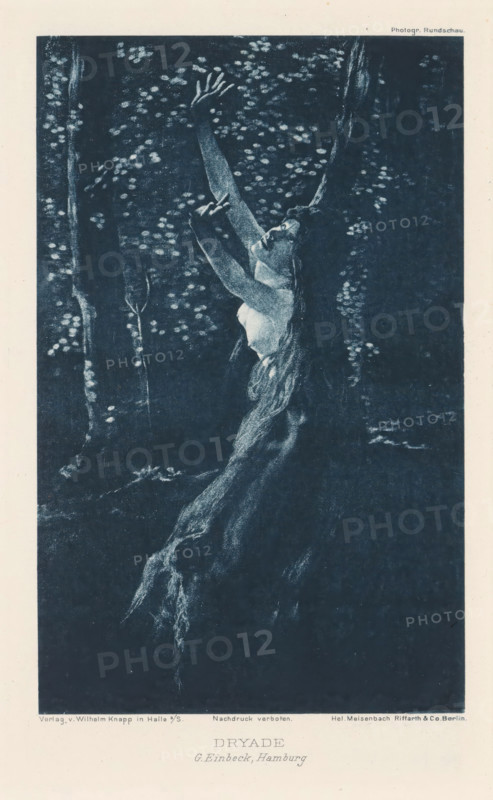 View of a tree nymph, Dryad, page, photomechanical print, photographer: George Einbeck, cliché maker: Meisenbach, Riffarth & Cie., Berlin, publisher: Wilhelm Knapp Verlag, Halle an der Saale, c. 1893 - in or before 1898, Saxony-Anhalt, paper, photoaquatint, height 154 mm x width 100 mm, Print two pages before page 226., (Hama)dryads, forest- and tree-nymphs, 'Driadi & Hamadriadi' (Ripa), A monochrome illustration shows a female figure emerging from or merging with a tree trunk, her long hair flowing down and blending into the bark and roots, her torso and arms reaching upward toward a canopy of leaves and branches, her face tilted up with closed eyes, surrounded by dark forest background with scattered light-toned leaf clusters and vertical tree trunks.