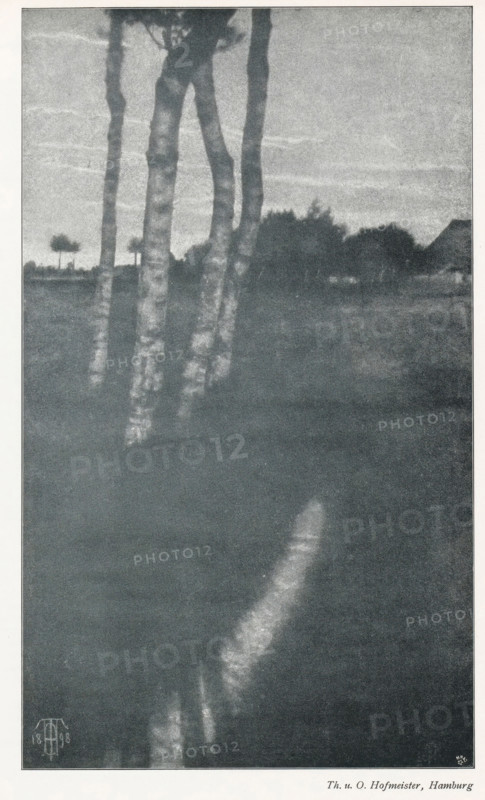 View of some trees with a building in the distance, page, photomechanical print, monogram: 'MR, &Co', photographer: Th. you. O. Hofmeister, cliché maker: Meisenbach, Riffarth & Cie. (possibly), Berlin, printer (person): Wilhelm Knapp Verlag, Halle an der Saale, c. 1895 - in or before 1900, printer (person), Saxony-Anhalt, paper, autotypie, height 235 mm x width 140 mm, landscapes, trees, A tall, narrow black-and-white image showing several slim, light-toned tree trunks rising from a darker foreground into a hazy, textured sky, with a distant row of darker, bushy treetops and the suggestion of a roofline on the horizon; the lower portion of the image is mostly dark with a soft, curving lighter streak running upward from the bottom toward the center.