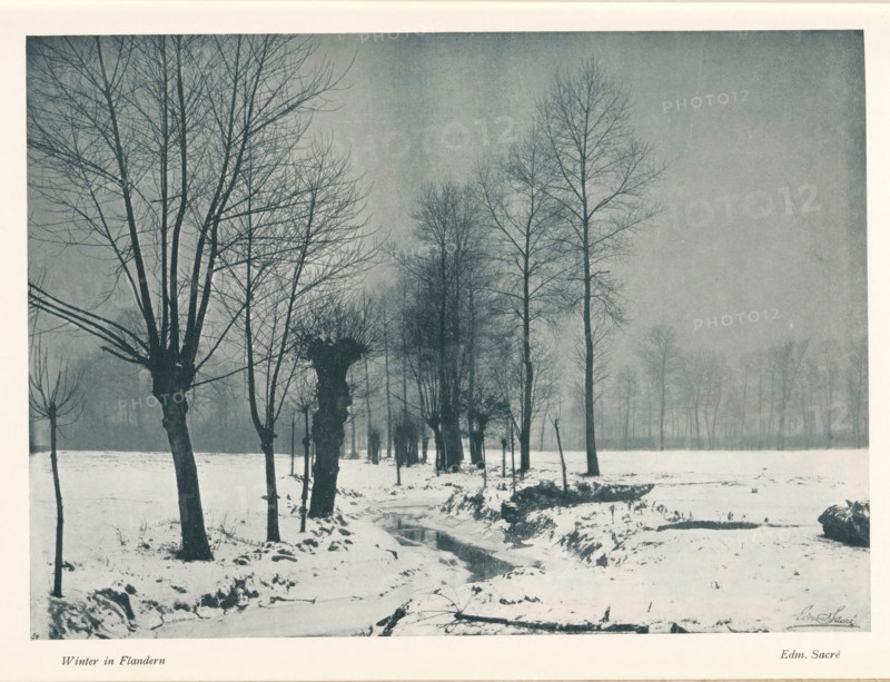 Winter im Flandern, Winter landscape in Flanders, page, photomechanical print, monogram: 'BX', photographer: Edmond Sacré, Flanders, cliché maker: unknown, c. 1896 - in or before 1901, paper, autotypie, height 164 mm x width 229 mm, Print on fifth unnumbered page after page 236., landscapes, snow, A snowy landscape with a row of bare trees extending into the distance, their dark trunks and intricate branches standing out against a pale, overcast sky, a narrow stream winding through the snow in the foreground with uneven banks and small patches of exposed ground, clustered tree trunks with knobbly bases near the left side and more slender, evenly spaced trees fading into the mist toward the background, a flat field covered with snow surrounding the trees and the stream, and a faint treeline visible through the haze on the horizon.