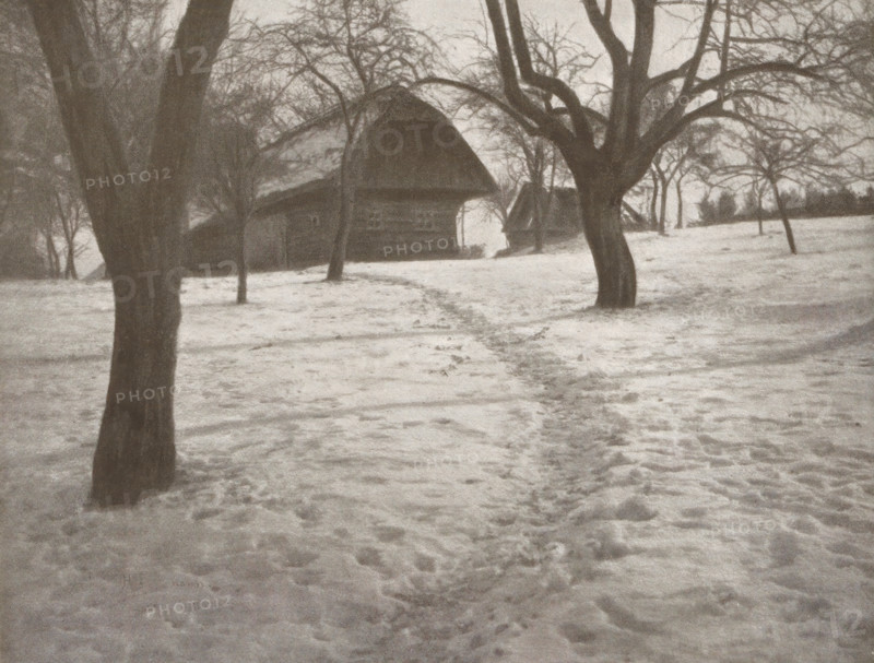 House and trees in the snow, page, photomechanical print, photographer: Heinrich Bachmann, cliché maker: Meisenbach, Riffarth & Cie. (possibly), Berlin, c. 1898 - in or before 1903, paper, autotypie, height 130 mm x width 169 mm, trees, snow, rural housing, eg country-house, villa, cottage, A snowy field with visible footprints leading toward a cluster of leafless trees and a barnlike structure in the background, large tree trunks in the foreground framing the scene, bare branches stretching across the sky, and uneven snow covering the ground.
