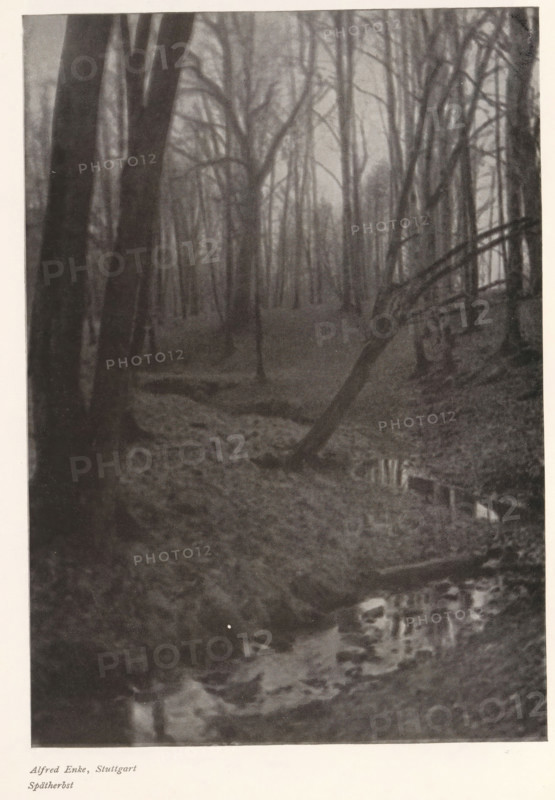 View of a moored sailing ship, page, photomechanical print, photographer: W. Gesche, cliché maker: Meisenbach, Riffarth & Cie. (possibly), Berlin, c. 1898 - in or before 1903, paper, autotypie, height 124 mm x width 110 mm, sailing-ship, sailing-boat, A vertical black-and-white photograph of a forest scene with many tall, bare trees extending upward out of frame, darker tree trunks in the foreground and finer trunks fading into the misty background, a gently sloping forest floor covered with leaves and low vegetation, a small winding stream or wet area reflecting light near the lower right, and a fallen or leaning tree trunk crossing diagonally from mid-right toward the center.