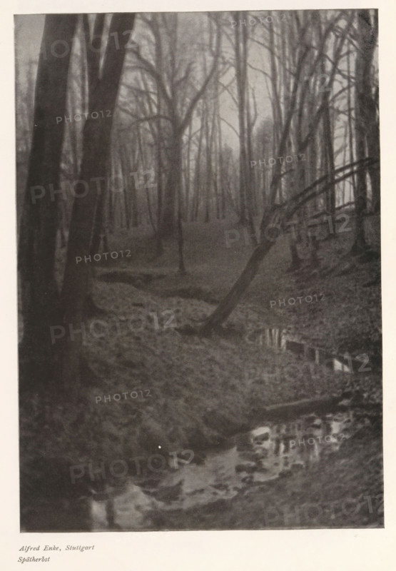 Stream in a forest, Spätherbst, page, photomechanical print, photographer: Alfred Enke, cliché maker: anonymous, c. 1898 - in or before 1903, paper, autotypie, height 212 mm x width 149 mm, forest, wood, brook, A vertical black and white photograph showing a forest scene with tall leafless trees extending upward and receding into the background, a sloping ground covered in leaves and undergrowth, a leaning tree trunk angled across the midground toward the right, a narrow stream or reflective water surface running near the bottom with dark reflections, and a few dense tree trunks in the foreground partially obscuring the view.