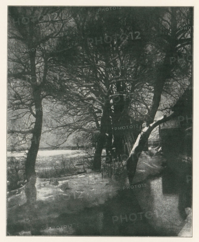 Bei Blutenberg-München, View of the garden of Blutenburg Castle near Munich in the snow, page, photomechanical print, photographer: J. Stelzner, Munich, cliché maker: anonymous, c. 1898 - in or before 1903, Bavaria, paper, autotypie, height 110 mm x width 140 mm, garden, snow, A monochrome scene showing a group of tall bare trees with many intertwining branches occupying the upper and central areas, darker trunks contrasting with a lighter background; the ground appears uneven with patches of snow or pale areas; a slanted trunk or large limb extends from the right toward the center, showing lighter highlights along its length; a vertical edge of a structure or wall is visible at the right margin; the overall image has a grainy texture and a narrow light border around the scene.