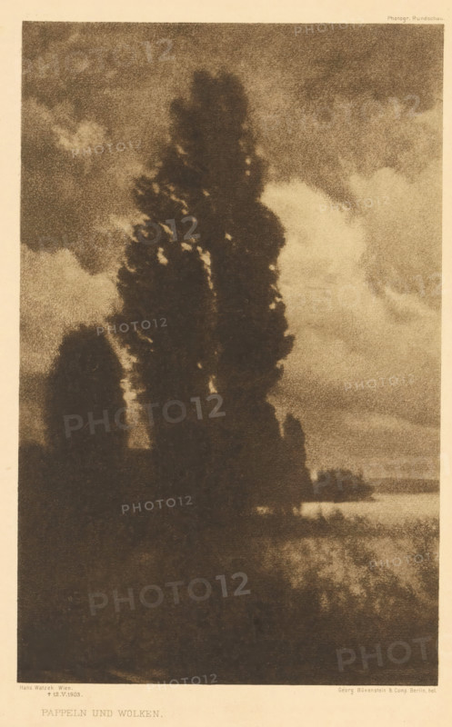 Landscape with poplar, Pappeln und Wolken, page, photomechanical print, photographer: Hans Watzek, cliché maker: Büxenstein & Comp., Georg, Berlin, c. 1898 - in or before 1903, printer (person), paper, photoaquatint, height 210 mm x width 134 mm, Print nine of fourteen prints at the back of the book., landscapes, trees: poplar, A tall, dark, vertically oriented tree occupies the central area, its silhouette sharply contrasted against a lighter, cloud-filled sky; smaller dark tree shapes appear to the left and near the base, and a lighter band suggesting distant water or a reflective surface runs horizontally near the lower right, with soft, grainy textures throughout the image.