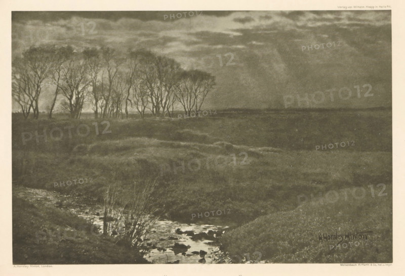 Landscape with trees, 'Sunshine and Rain', page, photomechanical print, photographer: Alfred Horsley Hinton, cliché maker: Meisenbach, Riffarth & Cie., Berlin, publisher: Wilhelm Knapp Verlag, Halle an der Saale, c. 1898 - in or before 1903, printer (person), Saxony-Anhalt, paper, photoaquatint, height 149 mm x width 224 mm, Print thirteen of fourteen prints at the back of the book., landscapes, trees, A wide dark landscape with a cluster of leafless trees standing along the horizon at the left, a cloudy sky above with bands of lighter and darker tones, a low marshy foreground with rough grassy mounds and a narrow stream winding toward the viewer with visible water and scattered rocks, and sparse taller grasses near the stream.