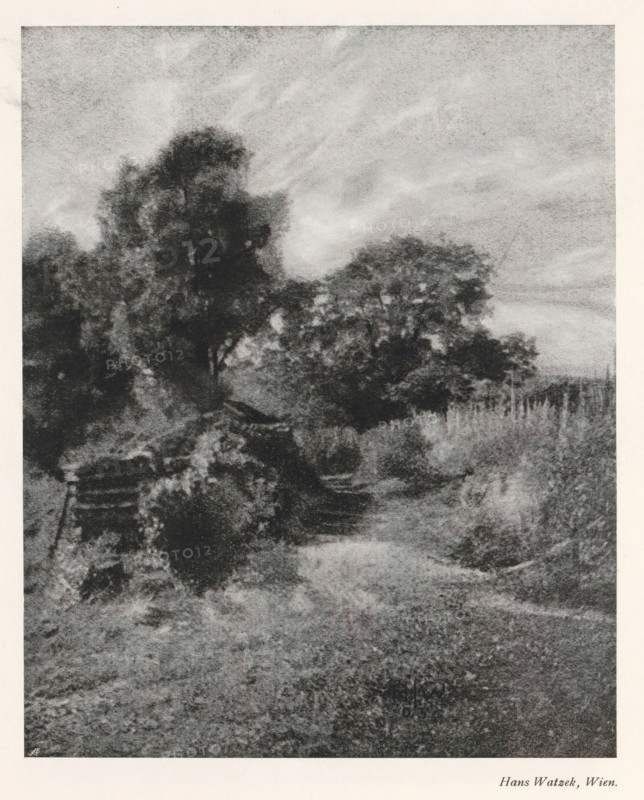 Landscape, page, photomechanical print, monogram: 'AG', photographer: Hans Watzek, cliché maker: unknown, c. 1898 - in or before 1903, paper, autotypie, height 185 mm x width 150 mm, landscapes, A grainy black and white scene showing a dirt path winding past dense foliage and tall trees, with leafy branches forming dark textured masses against a lighter, cloudy sky; a wooden fence and overgrown grasses appear along one side of the path, and patches of brush and shrubs fill the foreground and midground, creating a moody, natural landscape.