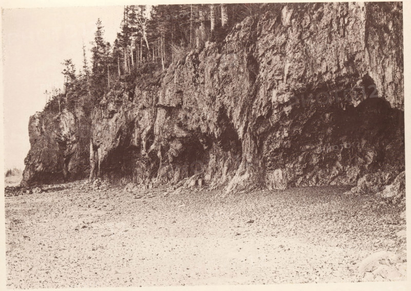 View of The Ovens rock formation on Mount Desert Island, Maine, The Ovens, Mount Desert, page, photomechanical print, c. 1875 - in or before 1880, North America, Mount Desert Island, paper, collotype, photoprint, height 131 mm x width 187 mm, rock formations, A wide sepia-toned photograph shows a rocky cliff face occupying the right and center of the image, with textured vertical rock strata, crevices, and shadowed recesses. The base of the cliff meets a pebbly or sandy shore that extends across the lower foreground. Along the top of the cliff there are slender tree trunks and sparse foliage, with some taller evergreens and thinner deciduous trunks visible against a pale sky. The left side of the image includes a smaller outcropping of rock with additional trees and a narrow strip of distant shoreline barely visible at the far left edge. The overall scene is detailed in high contrast tones and grainy texture.