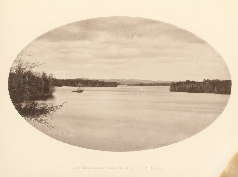 Lake Maranacook, from the MCRR Bridge, View of Lake Maranacook in Maine, page, photomechanical print, Winthrop, c. 1875 - in or before 1880, North America, Maine, paper, collotype, photoprint, height 115 mm x width 190 mm, river, An oval-shaped sepia photograph showing a wide calm lake with smooth water, a distant shoreline of trees and low hills, clusters of bare and leafed trees along the left and right edges, a small island with a few bare branches near the center, overcast sky with layered clouds, and tree branches extending into the frame from the lower left.