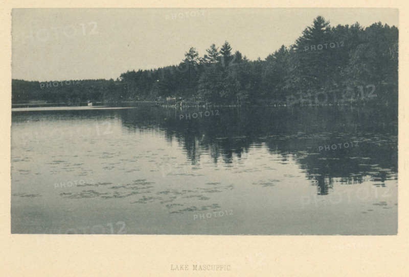 View of Lake Mascuppic, Lake Mascuppic, page, photomechanical print, Mascuppic Lake, maker: attributed to Forbes Lithograph Manufacturing Company, c. 1887 - in or before 1892, photographer, North America, Massachusetts, Middlesex (Massachusetts), Attributed to, paper, collotype, photoprint, height 106 mm x width 182 mm, forest, wood, public gardens, park, gate, entrance, A wide view of a calm lake with a tree-lined shoreline along the upper edge, dark silhouettes of evergreen trees reflected in the water, a small light-colored structure near the shore, a pale sky above, and scattered patches of lighter tones on the water surface.