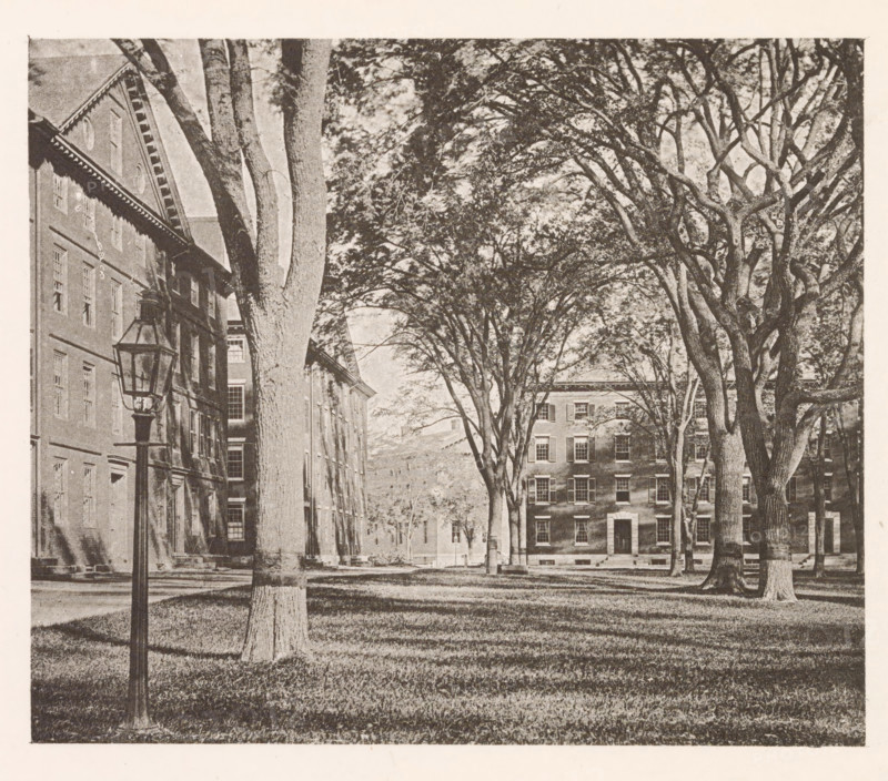 View of buildings of Harvard College in Cambridge, page, photomechanical print, photographer: William James Stillman, Cambridge (MA), cliché maker: anonymous, United States of America, c. 1866 - in or before 1876, North America, Massachusetts, paper, collotype, photoprint, height 149 mm x width 177 mm, facade (of house or building), university building, college, Harvard College, A sepia-toned scene showing a grassy courtyard framed by tall trees with wide trunks and branching canopies, a row of multi-story brick buildings with evenly spaced windows partially visible behind the trees, a vintage street lamp on a post near the left foreground, shadows of tree trunks and branches cast across the lawn, and architectural details such as window frames, cornices, and doorways on the buildings.