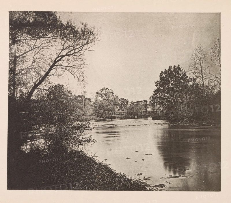 View of the Charles in Cambridge, page, photomechanical print, photographer: William James Stillman, Cambridge (MA), cliché maker: anonymous, United States of America, c. 1866 - in or before 1876, North America, Massachusetts, paper, collotype, photoprint, height 149 mm x width 178 mm, river, A sepia-toned scene of a river flanked by trees with bare branches on the left and fuller foliage on the right, a calm reflective water surface with scattered leaves, overhanging branches from the left reaching toward the center, dense undergrowth along the near bank, and a distant treeline across the water under a pale sky.