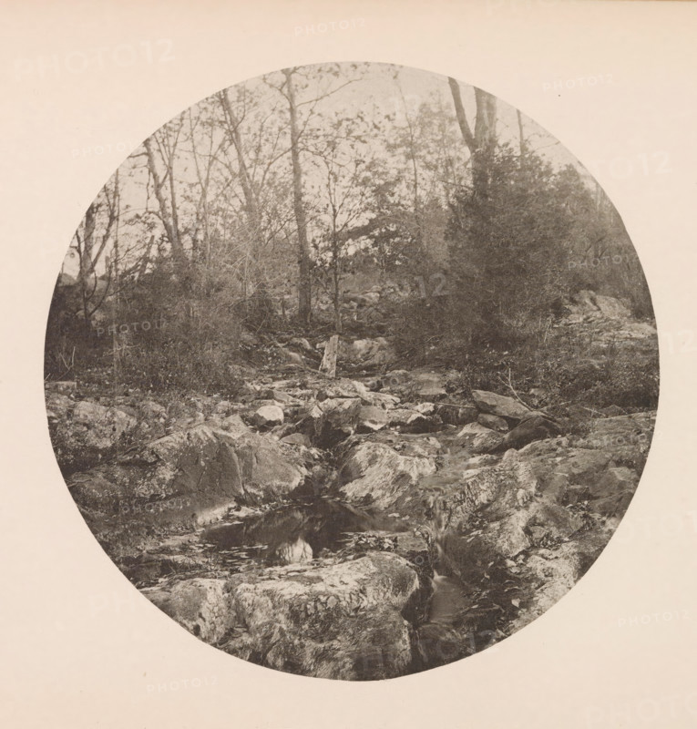 Beek te Massachusetts, page, photomechanical print, photographer: William James Stillman, Massachusetts, cliché maker: anonymous, United States of America, c. 1866 - in or before 1876, North America, paper, collotype, photoprint, height 151 mm x width 151 mm, trees, brook, A circular black-and-white photograph set against a light background showing a rocky streambed with water flowing among large, weathered stones and boulders, edged by dense undergrowth and shrubs; behind the foreground rocks a variety of leafless and sparsely leaved trees rise with visible trunks and branches, some leaning and interwoven, and a lone upright stump stands among stones near the center; the overall tone is grainy and monochrome with contrasts between dark vegetation and lighter exposed rock surfaces.