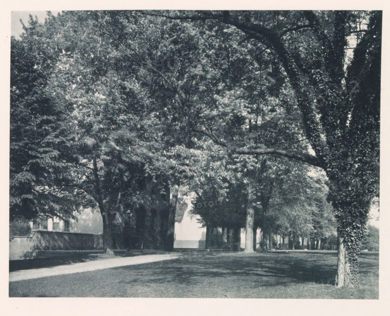 Blake Row, photograph, page, photographer: Edward H. Hart, United States Naval Academy, cliché maker: The Photo-gravure Co., New York (city), c. 1885 - in or before 1890, North America, Maryland, Annapolis, paper, collotype, photoprint, height 185 mm x width 237 mm, facade (of house or building), military academy, A shaded tree-lined pathway with large leafy trees on both sides, their trunks and branches creating a canopy and casting dappled shadows on the grass and path below, a low brick wall visible along the left side with steps leading up, a building partially seen behind the trees on the left, and an open lighter area in the distance between the trees.