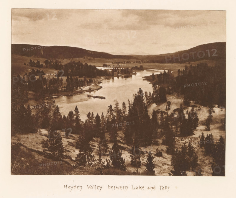 Hayden Valley between lake and falls, page, photomechanical print, photographer: Frank Jay Haynes, Yellowstone National Park, cliché maker: The Photo-gravure Co., New York (city), c. 1882 - in or before 1887, North America, paper, photoaquatint, height 162 mm x width 212 mm, dale, valley, Hayden Valley, A sepia-toned landscape photograph showing a wide river winding through a valley with forested hills on both sides; the foreground contains a slope dotted with numerous trees and patches of bare ground, the river reflects light and narrows toward the distant center of the image, clusters of trees and small islands appear along the riverbanks, rolling hills and wooded ridgelines form the middle and background under a sky with faint cloud patterns.