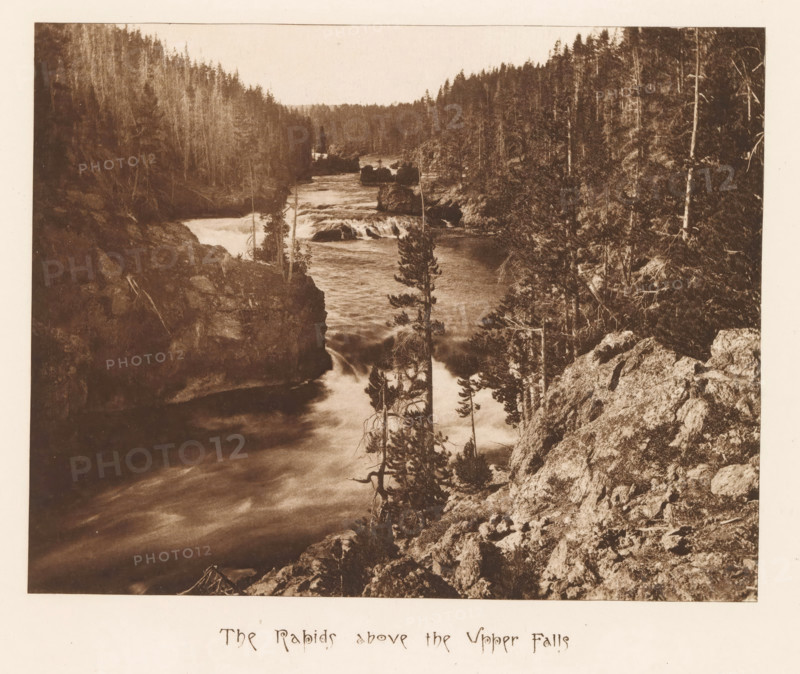The rapids above the Upper Falls, page, photomechanical print, photographer: Frank Jay Haynes, Yellowstone National Park, cliché maker: The Photo-gravure Co., New York (city), c. 1882 - in or before 1887, North America, paper, photoaquatint, height 163 mm x width 209 mm, river, rapids, Yellowstone, A sepia-toned photograph of a river flowing through a rocky canyon with rapids and small waterfalls, flanked by densely forested hillsides with tall, slender trees and exposed rock faces, a few isolated trees growing on rocky ledges near the water, and textured rock formations in the foreground.