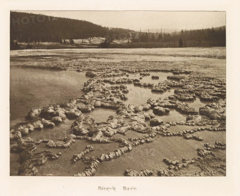 Biscuit Basin, page, photomechanical print, photographer: Frank Jay Haynes, Yellowstone National Park, cliché maker: The Photo-gravure Co., New York (city), c. 1882 - in or before 1887, North America, paper, photoaquatint, height 164 mm x width 215 mm, pond, pool, A sepia-toned landscape photograph showing a shallow body of water with irregular circular and ring-shaped mineral formations rising above the water surface, the formations varying in size and clustered across the foreground and middle ground, smooth water pooling inside some rings and flowing around others, a distant shoreline with low grassy or marshy areas, scattered trees, and a background of forested hills under a pale sky.