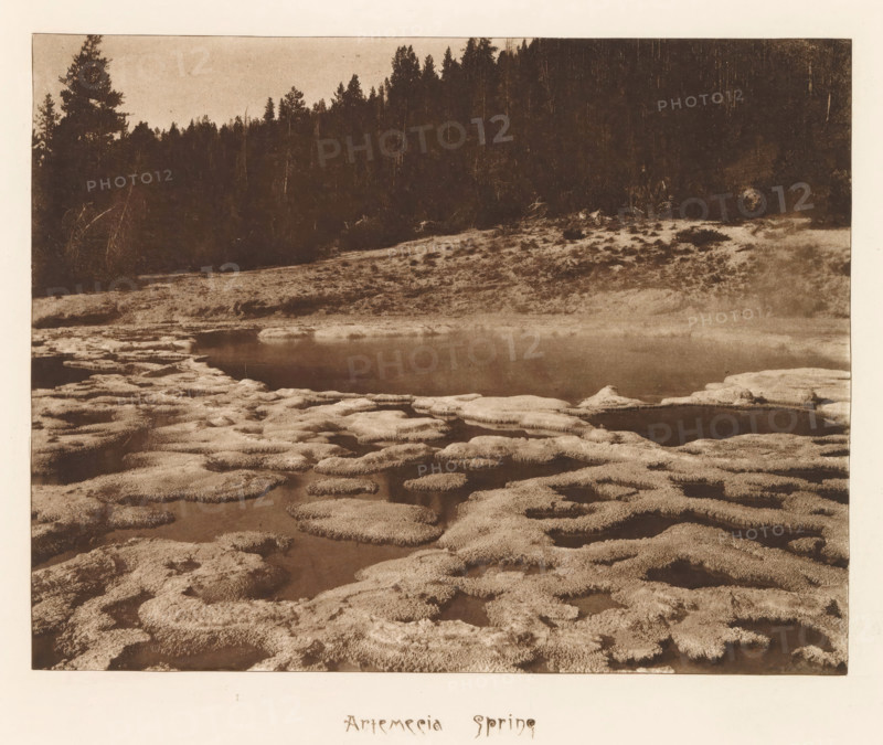 Artemesia Spring, page, photomechanical print, photographer: Frank Jay Haynes, Yellowstone National Park, cliché maker: The Photo-gravure Co., New York (city), c. 1882 - in or before 1887, North America, paper, photoaquatint, height 164 mm x width 215 mm, pond, pool, hot spring, geyser, Artemisia Geyser, A sepia-toned photograph showing a shallow body of water surrounded by irregular, lumpy mineral formations in the foreground and midground, with smooth reflective pools among the textured mounds; a sloping bank rises behind the water, covered with low vegetation and scattered patches of exposed ground; a dark stand of conifer trees forms the background along the horizon, their silhouettes contrasting with the lighter sky above.