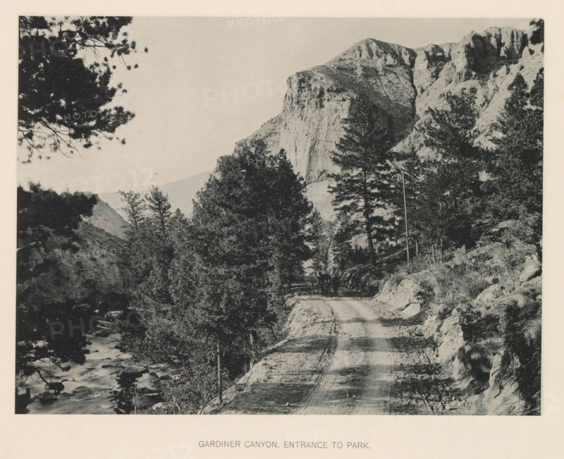 Gardiner Canyon, entrance to park, page, photomechanical print, photographer: Frank Jay Haynes, Yellowstone National Park, cliché maker: The Photo-gravure Co., New York (city), c. 1886 - in or before 1891, North America, paper, collotype, photoprint, height 162 mm x width 215 mm, public road, Lower Yellowstone Falls, A black and white photograph shows a dirt road cutting through a forested canyon with tall rocky cliffs rising on the right side; evergreen trees line both sides of the road and a narrow stream flows along the left side with visible rocks in the water; a horse-drawn wagon with figures is on the road in the middle distance; tree branches extend into the sky from the top left corner and rocky outcrops and slopes are visible on the canyon walls.