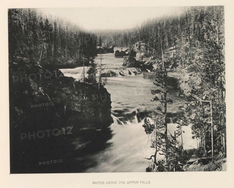 Rapids above the Upper Falls, page, photomechanical print, photographer: Frank Jay Haynes, Yellowstone National Park, cliché maker: The Photo-gravure Co., New York (city), c. 1886 - in or before 1891, North America, paper, collotype, photoprint, height 165 mm x width 215 mm, river, rapids, Yellowstone, A black and white photograph showing a river flowing through a rocky, forested canyon with visible rapids and a cascading waterfall; steep tree-covered banks rise on both sides with numerous tall, slender trees and exposed roots, and rocky outcrops jut into the water while mist or lighter tones appear above the distant tree line.
