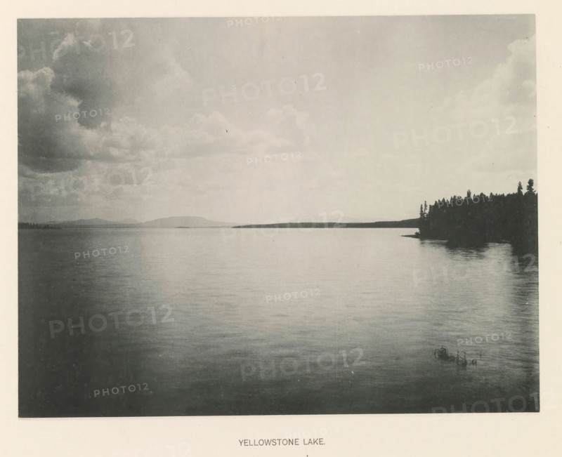 Yellowstone Lake, page, photomechanical print, photographer: Frank Jay Haynes, Yellowstone National Park, cliché maker: The Photo-gravure Co., New York (city), c. 1886 - in or before 1891, North America, paper, collotype, photoprint, height 165 mm x width 215 mm, lake, Yellowstonemeer, A wide body of calm water fills the foreground and middle ground, reflecting the sky above and showing gentle ripples; a dark treeline projects from the right shore into the water, with taller individual trees silhouetted against the lighter sky; distant low hills are visible along the far shoreline on the left and center; the sky is filled with layered clouds ranging from darker masses on the left to lighter, more diffuse clouds toward the center and right; a small cluster of aquatic plants emerges near the right foreground edge of the water.