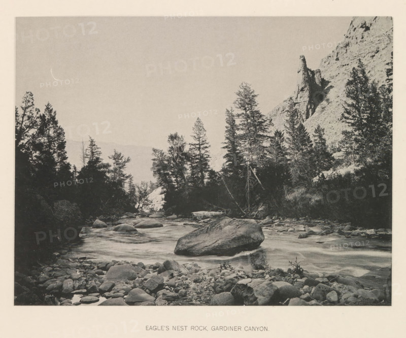 Eagle's nest rock, Gardiner canyon, page, photomechanical print, photographer: Frank Jay Haynes, Yellowstone National Park, cliché maker: The Photo-gravure Co., New York (city), c. 1886 - in or before 1891, Frank Jay Haynes, The Photo-gravure Co., photographer, cliché maker, North America, paper, collotype, photoprint, height 164 mm x width 214 mm, river, rock-formations, Gardner (Wyoming), A black-and-white photographic scene showing a rocky river foreground with scattered rounded stones and a large boulder partially in the water, a flowing stream leading toward a stand of tall coniferous trees along the banks, denser trees silhouetted against a pale sky, and a steep rocky cliff rising at the right with a prominent jagged rock formation near its top.