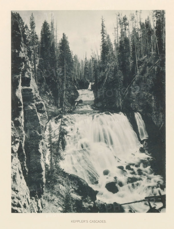 Keppler's cascades, page, photomechanical print, photographer: Frank Jay Haynes, Yellowstone National Park, cliché maker: The Photo-gravure Co., New York (city), c. 1886 - in or before 1891, Frank Jay Haynes, The Photo-gravure Co., photographer, cliché maker, North America, paper, collotype, photoprint, height 216 mm x width 165 mm, rapids, Kepler Cascades, A vertical black-and-white photograph of a cascading waterfall flowing between rocky cliffs and dense conifer trees, with water tumbling over multiple drops and swirling among rocks at the base, steep textured rock faces visible on the left, tall slender trees lining both sides of the gorge, fallen logs and scattered boulders near the rushing water, and a pale sky above.