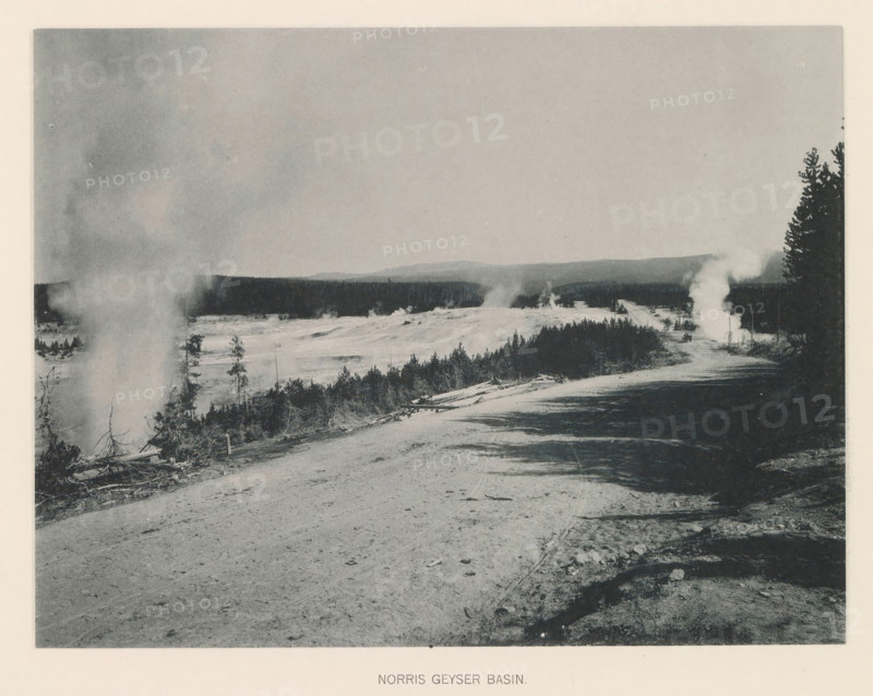 Norris Geyser basin, page, photomechanical print, photographer: Frank Jay Haynes, Yellowstone National Park, cliché maker: The Photo-gravure Co., New York (city), c. 1886 - in or before 1891, North America, paper, collotype, photoprint, height 165 mm x width 215 mm, hot spring, geyser, A wide monochrome landscape showing a dirt road in the foreground that leads into a basin with patches of vegetation and scattered trees, plumes of steam rising from multiple spots across the terrain, low distant hills on the horizon, denser trees framing the right edge, fallen logs and brush along the roadside, and a pale sky above.