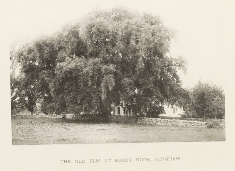 The old elm at Rocky Nook, Hingham, page, photomechanical print, number: 'V.', photographer: Henry Brooks, cliché maker: anonymous, United States of America, c. 1880 - in or before 1890, North America, Massachusetts, paper, collotype, photoprint, height 135 mm x width 190 mm, Photo for page 31., facade (of house or building), trees: elm, A large, dense tree with broad, drooping branches fills most of the scene, its foliage dark and textured against a pale sky, with a stone wall running along the base of the tree and a grassy open area in the foreground, and partially visible building structures behind and to the side of the tree.