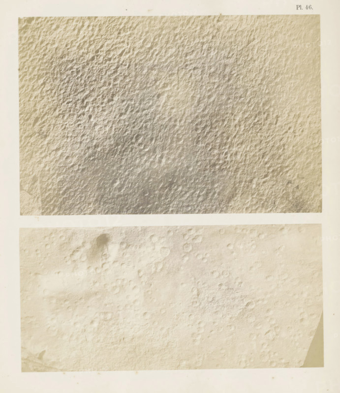 Two images of raindrop prints on sandstone, page, number: 'Pl. 46.', United States of America, c. 1850 - in or before 1861, photographer, North America, paper, salted paper print, height 295 mm x width 240 mm, Photo in back section of book., rain, foot-print, track, A vertically oriented image showing two adjacent rectangular panels with textured surfaces; the upper panel displays a rough, pebbled texture with irregular small depressions and raised areas in a muted beige tone, while the lower panel shows a lighter, smoother textured surface with shallow circular depressions and faint variations in shading, both panels are framed by a wide off-white border with slight discoloration and small spots.