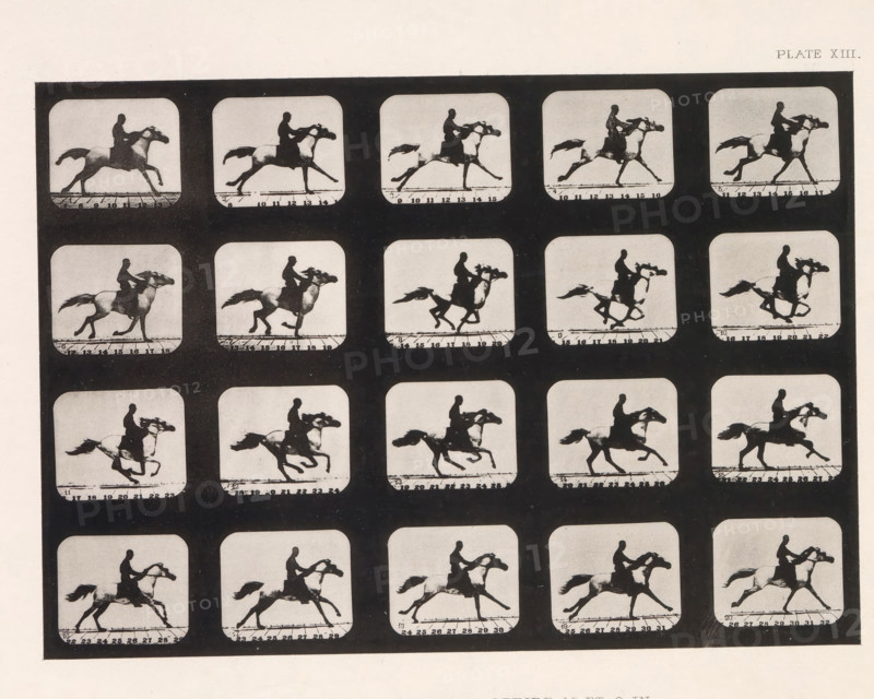 Twenty shots of a running horse, Mohammed, -Running. Stride, 15 Ft, 9 In., page, photomechanical print, number: 'Plate XIII.', photographer: Eadweard Muybridge, Stanford, cliché maker: anonymous, c. 1878 - in or before 1882, paper, photoaquatint, height 146 mm x width 206 mm, horse, Fast Motion, A grid of rectangular frames with rounded corners arranged in rows, each frame containing a black silhouette of a person riding a horse captured in various running poses, set against light gray backgrounds with dark borders between frames; the horse and rider silhouettes show different leg and tail positions across frames, and a horizontal dark line appears near the bottom of many frames.
