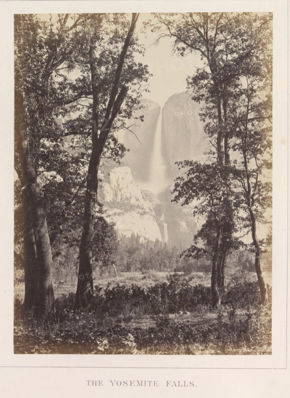 View of Yosemite Falls, The Yosemite Falls, photograph, page, number: 'X.', photographer: Carleton E. Watkins, Yosemite Valley, c. 1860 - in or before 1868, North America, California, paper, albumen print, height 206 mm x width 156 mm, waterfall, mountains, dale, valley, Yosemite National Park, Yosemitewaterval, A sepia-toned vertical photograph framed by a white border shows a forested foreground with tall trees and leafy branches partially obscuring a distant steep cliff face and a narrow waterfall descending between rock formations; the foreground ground is grassy with underbrush, tree trunks rise at varying angles, and the midground reveals rocky outcrops and more trees beneath the towering cliffs, all rendered in muted contrast and soft detail.