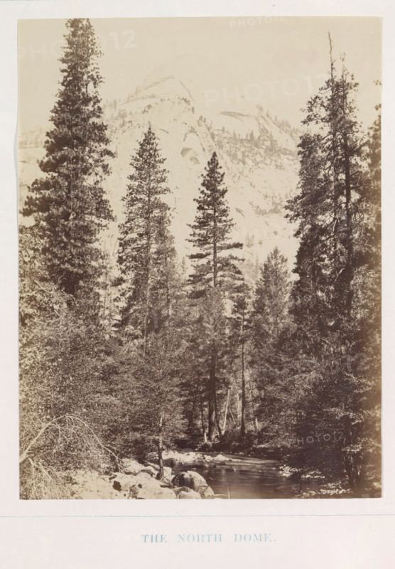 View of the North Dome in the Yosemite Valley, The North Dome, photograph, page, number: 'XIII.', photographer: Carleton E. Watkins, Yosemite Valley, c. 1860 - in or before 1868, North America, California, paper, albumen print, height 207 mm x width 155 mm, mountains, rock-formations, dale, valley, North Dome, A sepia-toned vertical photograph showing a forested mountain scene with tall conifer trees rising in the foreground and midground, a rocky stream flowing through the lower part of the image with stones along its banks, dense underbrush and smaller trees filling the lower areas, and large granite dome-like rock formations visible in the background behind the trees under a pale sky.