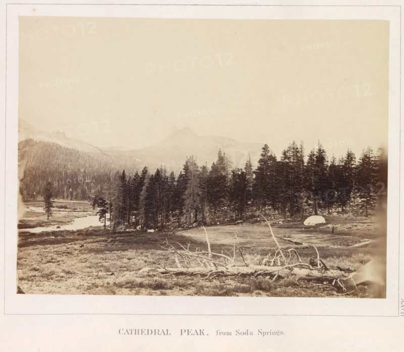 Cathedral Peak, from Soda Springs, View of Cathedral Peak in California, photograph, page, number: 'XXVII.', photographer: W. Harris, California, c. 1860 - in or before 1868, North America, paper, albumen print, height 156 mm x width 208 mm, mountains, A sepia-toned landscape photograph showing a wide meadow in the foreground with patches of grass and low vegetation and a large fallen tree with exposed branches lying across the ground, a stand of tall evergreen trees rising behind the meadow and forming a dark vertical band, a gently flowing river or stream winding through the left middle ground with small trees along its banks, distant hazy mountains and a prominent peaked mountain visible above the treeline under a pale, mostly clear sky, and a large rounded boulder near the edge of the treeline.